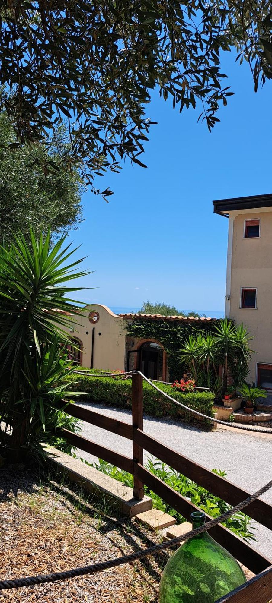 San Antonio Aparthotel 3*