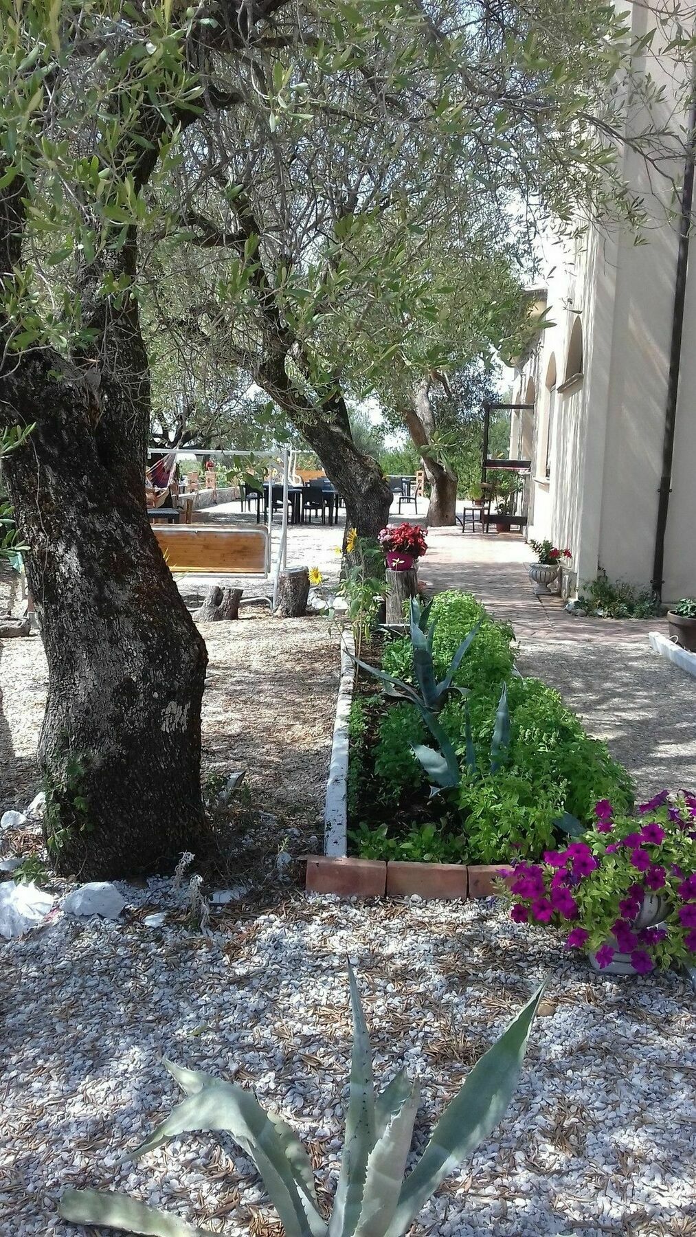 San Antonio Aparthotel